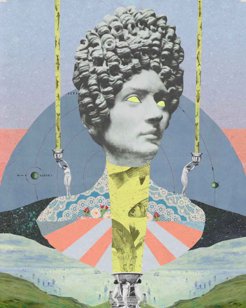 Eel venus - Image 2