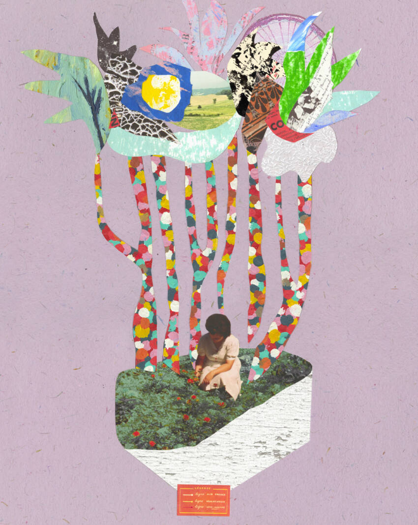 Confetti Forest - Image 2