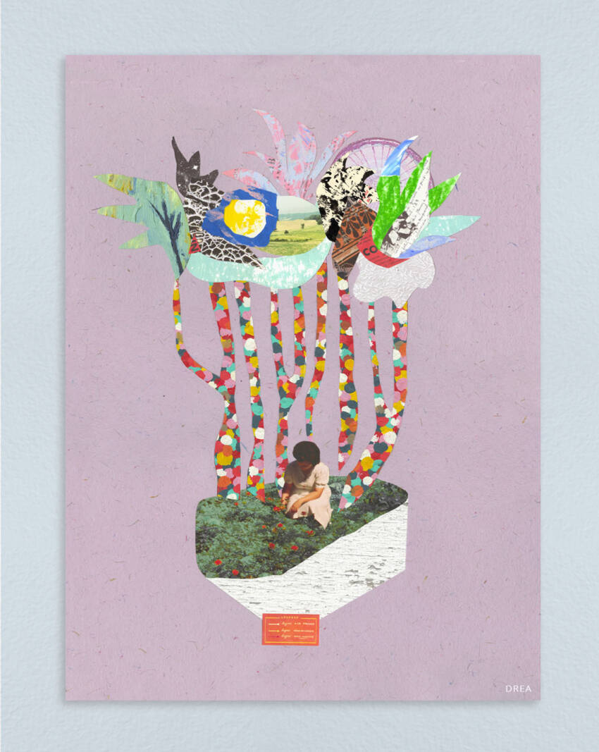 Confetti Forest - Image 3