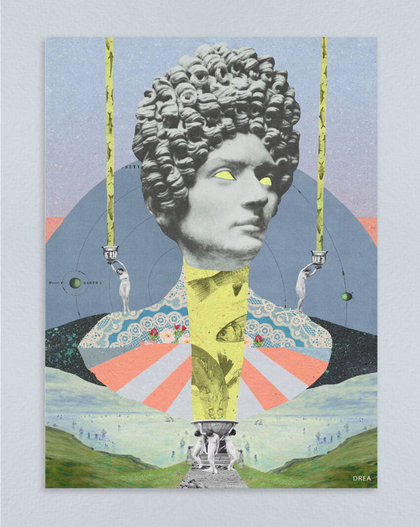 Eel venus - Image 5